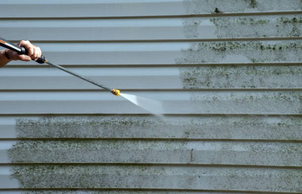 Best Attic Mold Removal  in Baldwin City, KS
