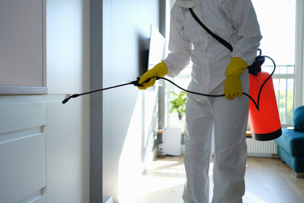 Best Mold Testing  in Baldwin City, KS