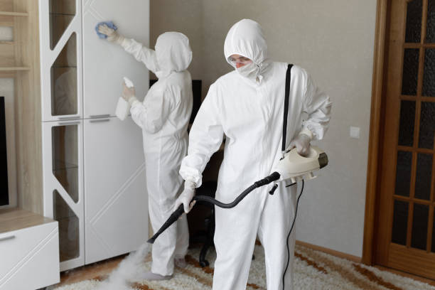 Best Crawl Space Mold Removal  in Baldwin City, KS