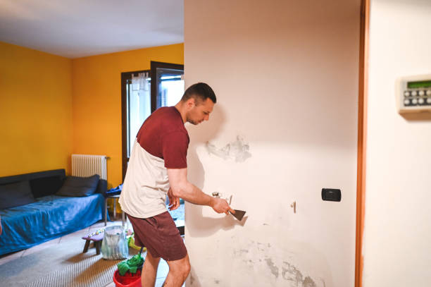 Best Professional Mold Removal  in Baldwin City, KS